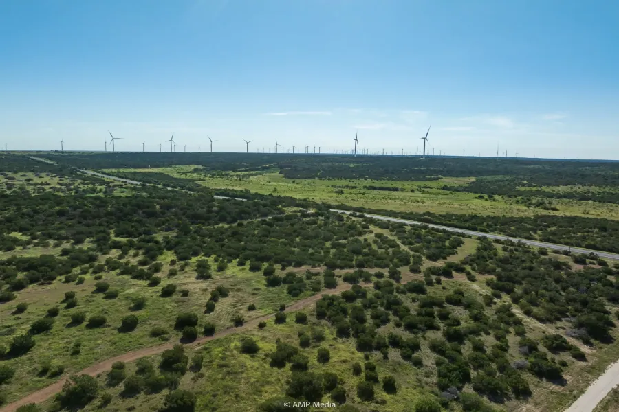 Homes for sale in Wingate - Taylor - Texas USA | house for sale Wingate - Taylor - Texas USA | Wingate - Taylor - Texas USA Real estate services | New listings for sale Wingate - Taylor - Texas USA | Land for sale in Wingate - Taylor - Texas USA | Real Estate Agent in Wingate - Taylor - Texas USA | Realtor in Wingate - Taylor - Texas USA | Real estate agent in Wingate | What is My Home Value Wingate - Taylor - Texas USA | Texas Real Estate Brokerage Independent Realty, Homes and Land in Texas by Luminita Cordes Realtor