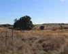 View of nature with a rural view