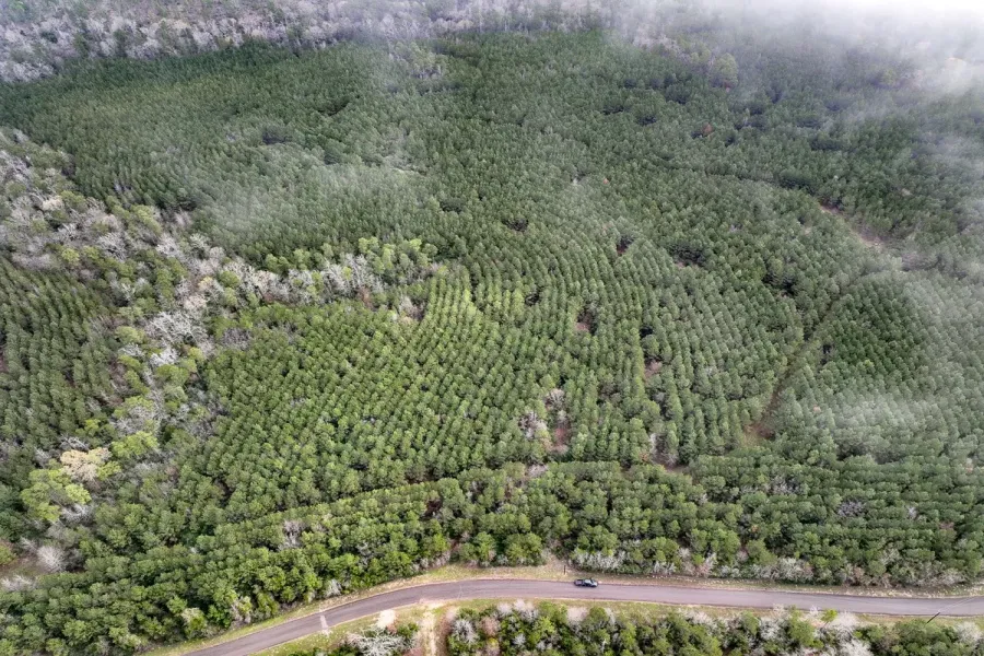 View of birds eye view of property