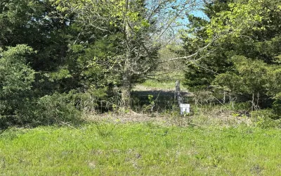 Unimproved Land For Sale in Fannin County , Tract 8 Farm to Market 1743, Honey Grove, Texas 75446, 0, 0, Garage spaces, 0 Sqft, built in 0, Price $155,000, mls#20924367, Real Estate Agent in Honey Grove, Homes For Sale in Fannin county, Homes For Sale in Honey Grove, Realtor in Honey Grove Texas, Real Estate Brokerage Independent Realty Texas, Luminita Cordes Realtor