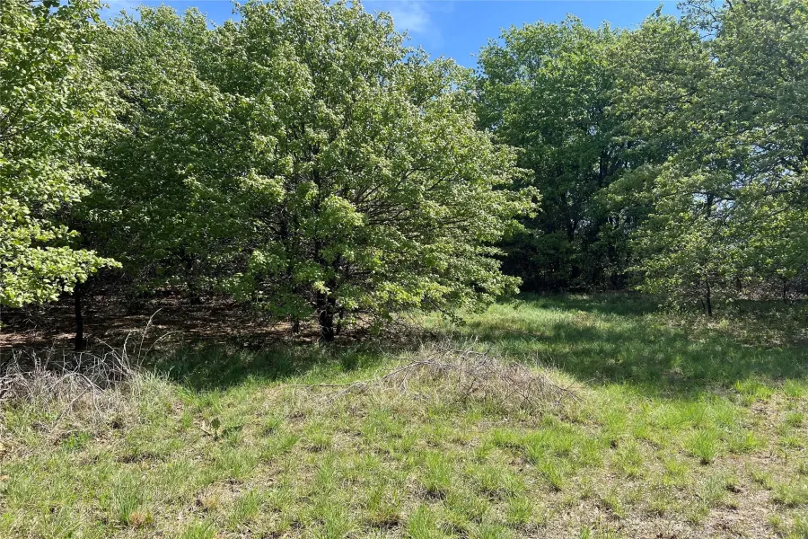View of nature
