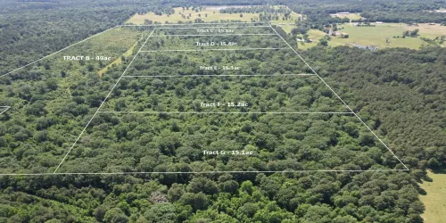Unimproved Land For Sale in Shelby County , TBD-G County Road 4021, Timpson, Texas 75975, 0, 0, Garage spaces, 0 Sqft, built in 0, Price $113,250, mls#20940063, Real Estate Agent in Timpson, Homes For Sale in Shelby county, Homes For Sale in Timpson, Realtor in Timpson Texas, Real Estate Brokerage Independent Realty Texas, Luminita Cordes Realtor