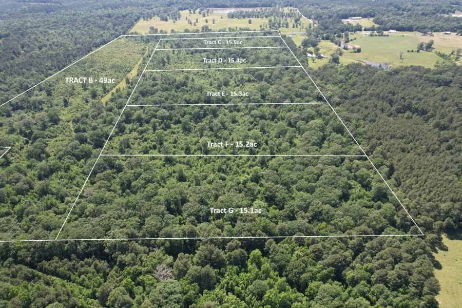 Unimproved Land For Sale in Shelby County , TBD-G County Road 4021, Timpson, Texas 75975, 0, 0, Garage spaces, 0 Sqft, built in 0, Price $113,250, mls#20940063, Real Estate Agent in Timpson, Homes For Sale in Shelby county, Homes For Sale in Timpson, Realtor in Timpson Texas, Real Estate Brokerage Independent Realty Texas, Luminita Cordes Realtor