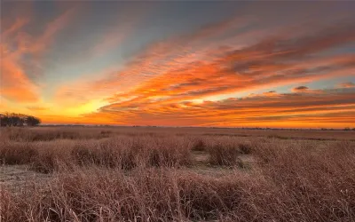 Unimproved Land For Sale in Cooke County , TBD CR-247, Valley View, Texas 76272, 0, 0, Garage spaces, 0 Sqft, built in 0, Price $175,000, mls#20951046, Real Estate Agent in Valley View, Homes For Sale in Cooke county, Homes For Sale in Valley View, Realtor in Valley View Texas, Real Estate Brokerage Independent Realty Texas, Luminita Cordes Realtor