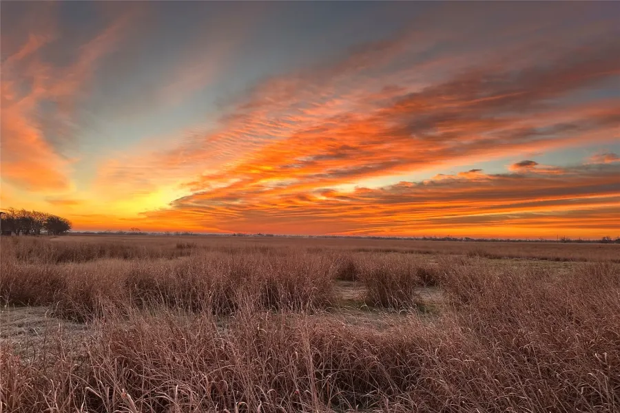 Unimproved Land For Sale in Cooke County , TBD CR-247, Valley View, Texas 76272, 0, 0, Garage spaces, 0 Sqft, built in 0, Price $175,000, mls#20951046, Real Estate Agent in Valley View, Homes For Sale in Cooke county, Homes For Sale in Valley View, Realtor in Valley View Texas, Real Estate Brokerage Independent Realty Texas, Luminita Cordes Realtor