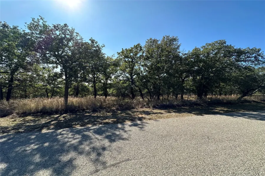 Unimproved Land For Sale in Brown County , 436 Greenbriar Drive, May, Texas 76857, 0, 0, Garage spaces, 0 Sqft, built in 0, Price $8,300, mls#20774147, Real Estate Agent in May, Homes For Sale in Brown county, Homes For Sale in May, Realtor in May Texas, Real Estate Brokerage Independent Realty Texas, Luminita Cordes Realtor