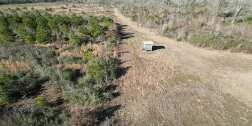 Unimproved Land For Sale in Shelby County , TBD-B County Road 4021, Timpson, Texas 75975, 0, 0, Garage spaces, 0 Sqft, built in 0, Price $220,500, mls#20831081, Real Estate Agent in Timpson, Homes For Sale in Shelby county, Homes For Sale in Timpson, Realtor in Timpson Texas, Real Estate Brokerage Independent Realty Texas, Luminita Cordes Realtor