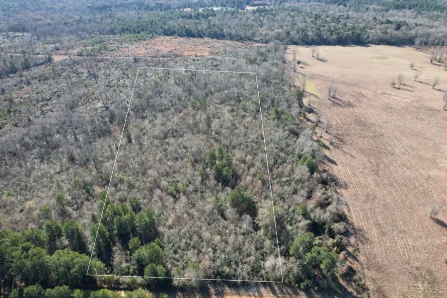 Unimproved Land For Sale in Shelby County , TBD-C County Road 4021, Timpson, Texas 75975, 0, 0, Garage spaces, 0 Sqft, built in 0, Price $116,250, mls#20832930, Real Estate Agent in Timpson, Homes For Sale in Shelby county, Homes For Sale in Timpson, Realtor in Timpson Texas, Real Estate Brokerage Independent Realty Texas, Luminita Cordes Realtor
