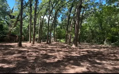 Unimproved Land For Sale in Henderson County , 104 Red Bluff Loop, Mabank, Texas 75156, 0, 0, Garage spaces, 0 Sqft, built in 0, Price $25,000, mls#20983640, Real Estate Agent in Mabank, Homes For Sale in Henderson county, Homes For Sale in Mabank, Realtor in Mabank Texas, Real Estate Brokerage Independent Realty Texas, Luminita Cordes Realtor