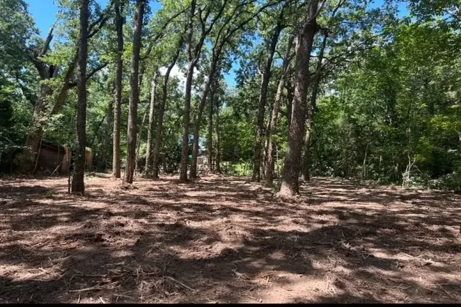 Unimproved Land For Sale in Henderson County , 104 Red Bluff Loop, Mabank, Texas 75156, 0, 0, Garage spaces, 0 Sqft, built in 0, Price $25,000, mls#20983640, Real Estate Agent in Mabank, Homes For Sale in Henderson county, Homes For Sale in Mabank, Realtor in Mabank Texas, Real Estate Brokerage Independent Realty Texas, Luminita Cordes Realtor