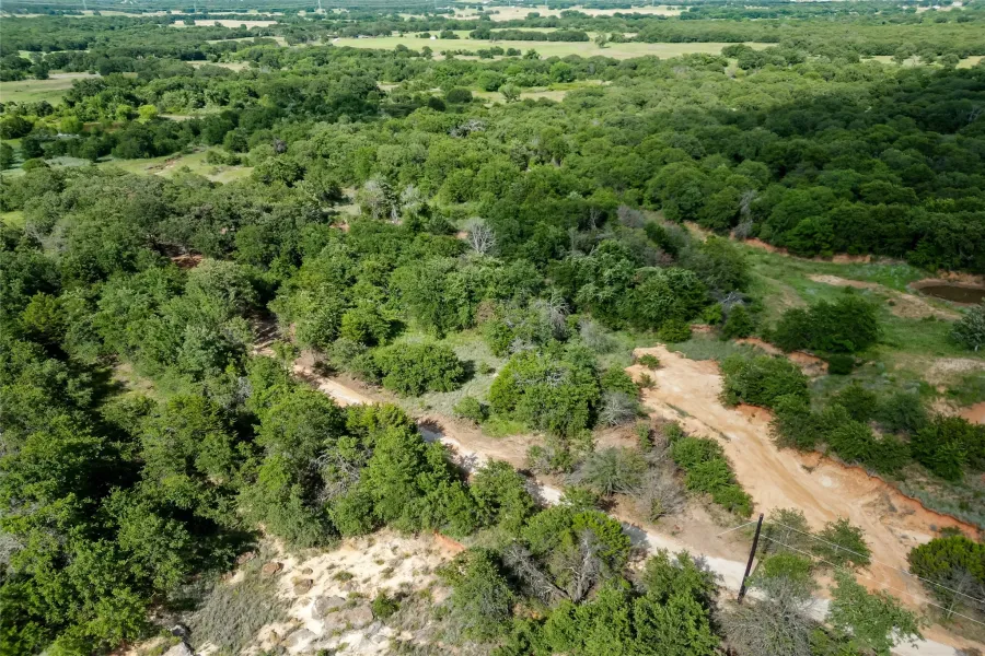 Drone / aerial view of a heavily wooded area