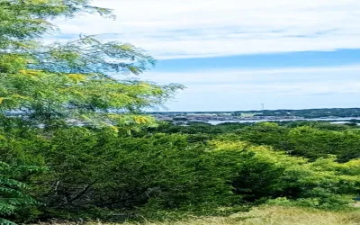 Unimproved Land For Sale in Hood County , 3927 Seminole Trail, Granbury, Texas 76048, 0, 0, Garage spaces, 0 Sqft, built in 0, Price $60,000, mls#20987940, Real Estate Agent in Granbury, Homes For Sale in Hood county, Homes For Sale in Granbury, Realtor in Granbury Texas, Real Estate Brokerage Independent Realty Texas, Luminita Cordes Realtor
