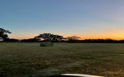 Unimproved Land For Sale in Rains County , 61.32 acres County Road 3417, Emory, Texas 75472, 0, 0, Garage spaces, 0 Sqft, built in 0, Price $735,800, mls#20994562, Real Estate Agent in Emory, Homes For Sale in Rains county, Homes For Sale in Emory, Realtor in Emory Texas, Real Estate Brokerage Independent Realty Texas, Luminita Cordes Realtor