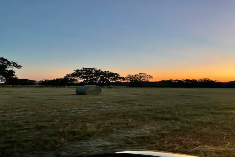 Unimproved Land For Sale in Rains County , 61.32 acres County Road 3417, Emory, Texas 75472, 0, 0, Garage spaces, 0 Sqft, built in 0, Price $735,800, mls#20994562, Real Estate Agent in Emory, Homes For Sale in Rains county, Homes For Sale in Emory, Realtor in Emory Texas, Real Estate Brokerage Independent Realty Texas, Luminita Cordes Realtor