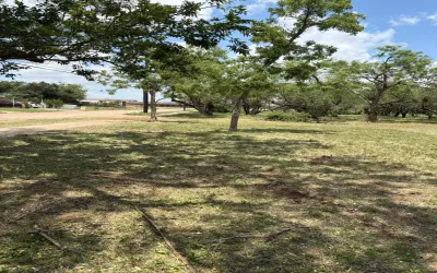 Unimproved Land For Sale in Taylor County , 2441 Westmoreland Street, Abilene, Texas 79603, 0, 0, Garage spaces, 0 Sqft, built in 0, Price $24,000, mls#20871012, Real Estate Agent in Abilene, Homes For Sale in Taylor county, Homes For Sale in Abilene, Realtor in Abilene Texas, Real Estate Brokerage Independent Realty Texas, Luminita Cordes Realtor