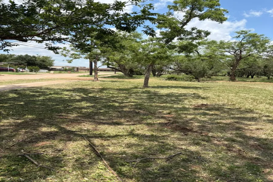 View of grassy yard