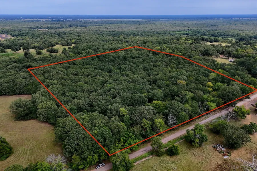 Unimproved Land For Sale in Titus County , 0016 CR 1915, Talco, Texas 75487, 0, 0, Garage spaces, 0 Sqft, built in 0, Price $99,428, mls#21045214, Real Estate Agent in Talco, Homes For Sale in Titus county, Homes For Sale in Talco, Realtor in Talco Texas, Real Estate Brokerage Independent Realty Texas, Luminita Cordes Realtor