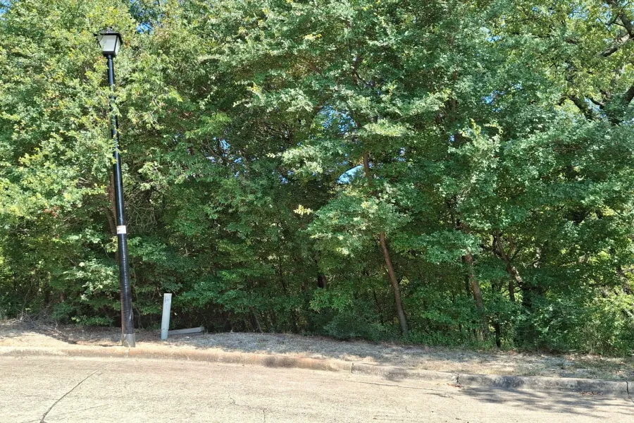 View of wooded area