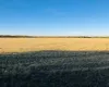 Homes for sale in Lueders - Shackelford - Texas USA | house for sale Lueders - Shackelford - Texas USA | Lueders - Shackelford - Texas USA Real estate services | New listings for sale Lueders - Shackelford - Texas USA | Land for sale in Lueders - Shackelford - Texas USA | Real Estate Agent in Lueders - Shackelford - Texas USA | Realtor in Lueders - Shackelford - Texas USA | Real estate agent in Lueders | What is My Home Value Lueders - Shackelford - Texas USA | Texas Real Estate Brokerage Independent Realty, Homes and Land in Texas by Luminita Cordes Realtor