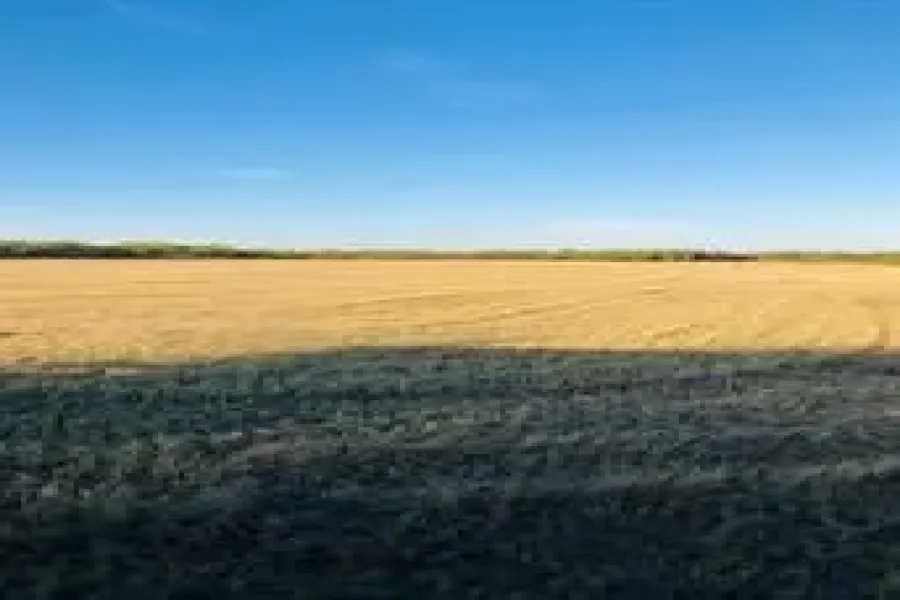 Homes for sale in Lueders - Shackelford - Texas USA | house for sale Lueders - Shackelford - Texas USA | Lueders - Shackelford - Texas USA Real estate services | New listings for sale Lueders - Shackelford - Texas USA | Land for sale in Lueders - Shackelford - Texas USA | Real Estate Agent in Lueders - Shackelford - Texas USA | Realtor in Lueders - Shackelford - Texas USA | Real estate agent in Lueders | What is My Home Value Lueders - Shackelford - Texas USA | Texas Real Estate Brokerage Independent Realty, Homes and Land in Texas by Luminita Cordes Realtor