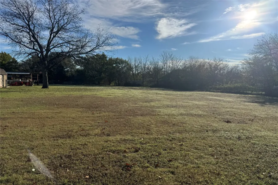 View of green lawn