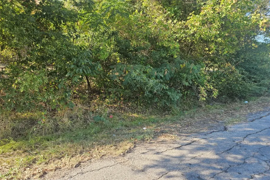 Unimproved Land For Sale in Lamar County , TBD Hickory Street, Paris, Texas 75460, 0, 0, Garage spaces, 0 Sqft, built in 0, Price $8,000, mls#21106972, Real Estate Agent in Paris, Homes For Sale in Lamar county, Homes For Sale in Paris, Realtor in Paris Texas, Real Estate Brokerage Independent Realty Texas, Luminita Cordes Realtor