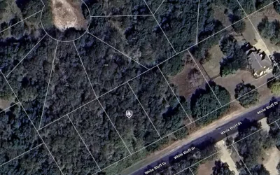 Unimproved Land For Sale in Hill County , 1531 White Bluff Drive, Whitney, Texas 76692, 0, 0, Garage spaces, 0 Sqft, built in 0, Price $23,000, mls#21103884, Real Estate Agent in Whitney, Homes For Sale in Hill county, Homes For Sale in Whitney, Realtor in Whitney Texas, Real Estate Brokerage Independent Realty Texas, Luminita Cordes Realtor