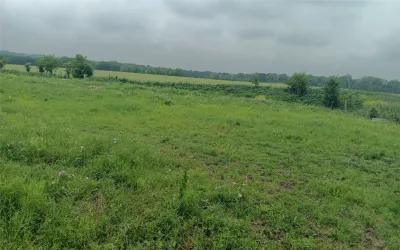 Unimproved Land For Sale in Falls County , TBD CR494 N, Chilton, Texas 76632, 0, 0, Garage spaces, 0 Sqft, built in 0, Price $464,550, mls#21111988, Real Estate Agent in Chilton, Homes For Sale in Falls county, Homes For Sale in Chilton, Realtor in Chilton Texas, Real Estate Brokerage Independent Realty Texas, Luminita Cordes Realtor