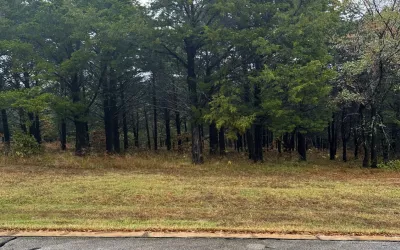 Unimproved Land For Sale in Grayson County , 106 Barrington Circle, Gordonville, Texas 76245, 0, 0, Garage spaces, 0 Sqft, built in 0, Price $280,900, mls#21116741, Real Estate Agent in Gordonville, Homes For Sale in Grayson county, Homes For Sale in Gordonville, Realtor in Gordonville Texas, Real Estate Brokerage Independent Realty Texas, Luminita Cordes Realtor