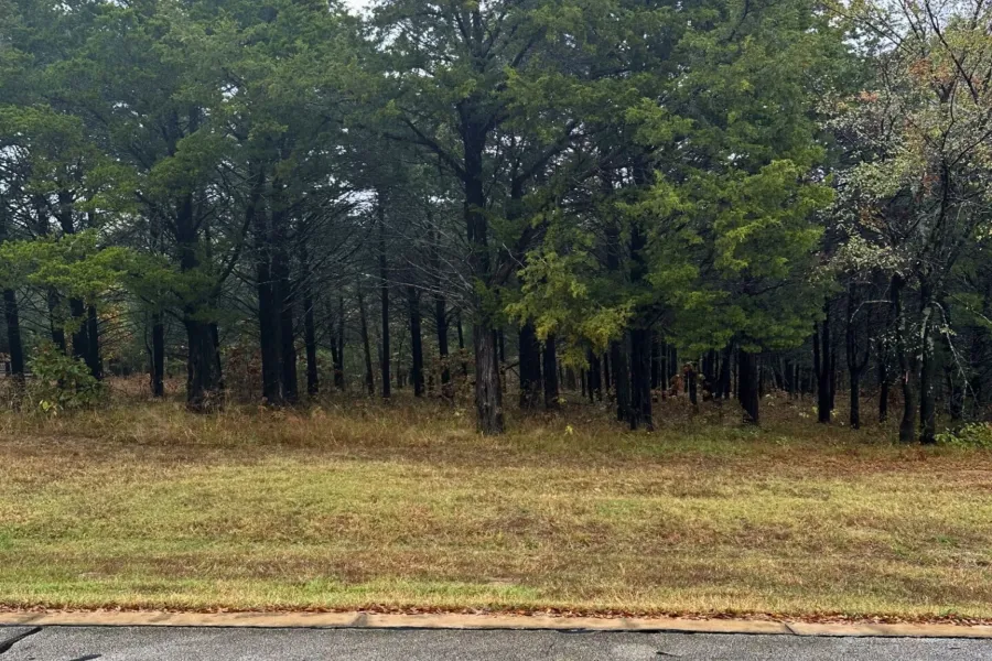 Unimproved Land For Sale in Grayson County , 106 Barrington Circle, Gordonville, Texas 76245, 0, 0, Garage spaces, 0 Sqft, built in 0, Price $280,900, mls#21116741, Real Estate Agent in Gordonville, Homes For Sale in Grayson county, Homes For Sale in Gordonville, Realtor in Gordonville Texas, Real Estate Brokerage Independent Realty Texas, Luminita Cordes Realtor