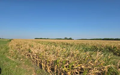Unimproved Land For Sale in Fannin County , 0000 HWY 82, Honey Grove, Texas 75446, 0, 0, Garage spaces, 0 Sqft, built in 0, Price $1,232,000, mls#21121713, Real Estate Agent in Honey Grove, Homes For Sale in Fannin county, Homes For Sale in Honey Grove, Realtor in Honey Grove Texas, Real Estate Brokerage Independent Realty Texas, Luminita Cordes Realtor