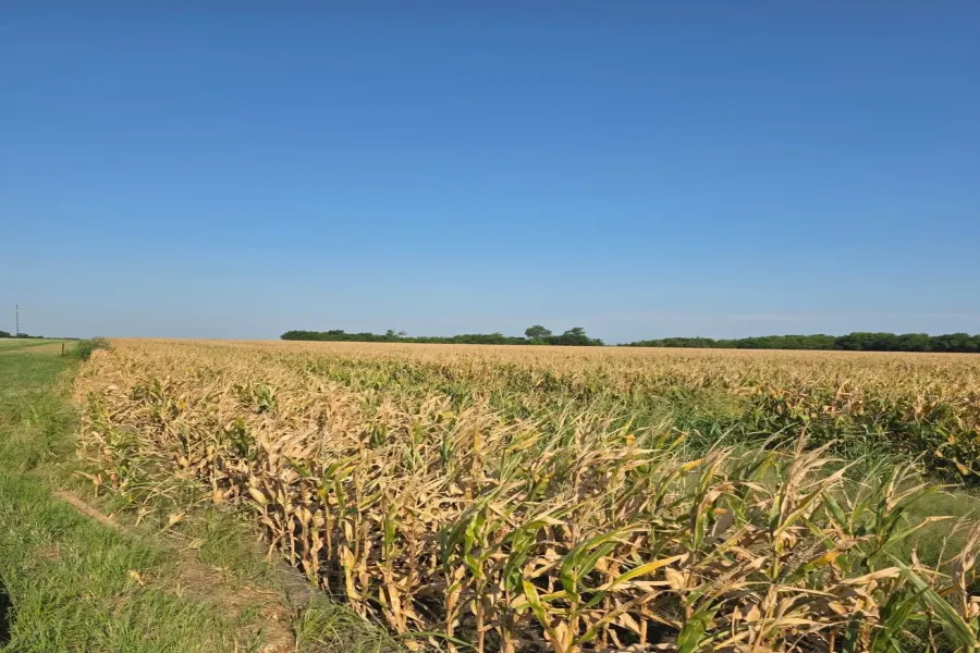 View of local wilderness with farmland and rural landscape