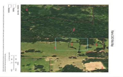 Unimproved Land For Sale in Rains County , TBD Rains County Road 1150, Emory, Texas 75440, 0, 0, Garage spaces, 0 Sqft, built in 0, Price $165,000, mls#21123978, Real Estate Agent in Emory, Homes For Sale in Rains county, Homes For Sale in Emory, Realtor in Emory Texas, Real Estate Brokerage Independent Realty Texas, Luminita Cordes Realtor