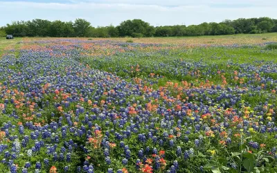 Improved Land For Sale in Ellis County , 00 Fm-660, Ennis, Texas 75119, 0, 0, Garage spaces, 0 Sqft, built in 0, Price $308,715, mls#21127644, Real Estate Agent in Ennis, Homes For Sale in Ellis county, Homes For Sale in Ennis, Realtor in Ennis Texas, Real Estate Brokerage Independent Realty Texas, Luminita Cordes Realtor
