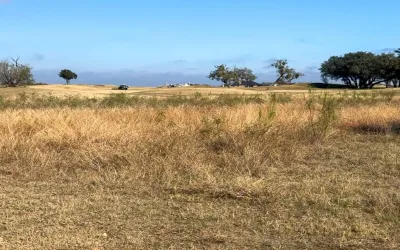 Unimproved Land For Sale in Palo Pinto County , 80 Clubhouse Drive, Graford, Texas 76449, 0, 0, Garage spaces, 0 Sqft, built in 0, Price $104,900, mls#21127512, Real Estate Agent in Graford, Homes For Sale in Palo Pinto county, Homes For Sale in Graford, Realtor in Graford Texas, Real Estate Brokerage Independent Realty Texas, Luminita Cordes Realtor