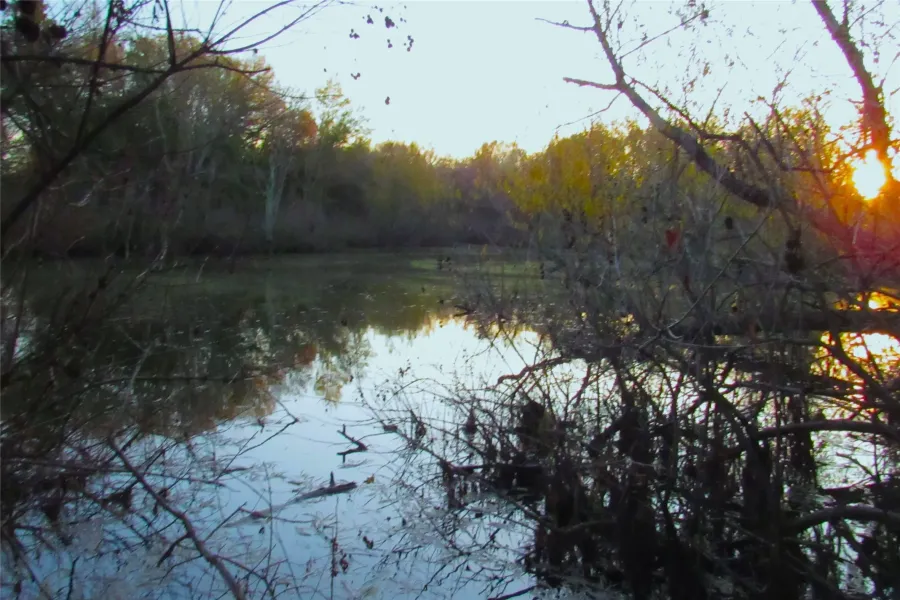 appr 3/4ac pond to view sunsets from the homesite