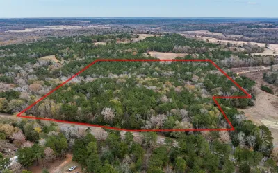 Unimproved Land For Sale in Anderson County , 14770 FM 315, Palestine, Texas 75803, 0, 0, Garage spaces, 0 Sqft, built in 0, Price $283,500, mls#21135116, Real Estate Agent in Palestine, Homes For Sale in Anderson county, Homes For Sale in Palestine, Realtor in Palestine Texas, Real Estate Brokerage Independent Realty Texas, Luminita Cordes Realtor