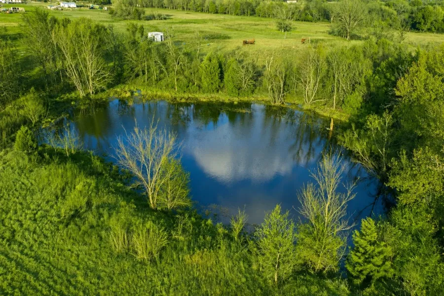 Improved Land For Sale in Van Zandt County , 1495 VZ CR 3908 & 112154, Wills Point, Texas 75169, 0, 0, Garage spaces, 0 Sqft, built in 0, Price $390,000, mls#21138089, Real Estate Agent in Wills Point, Homes For Sale in Van Zandt county, Homes For Sale in Wills Point, Realtor in Wills Point Texas, Real Estate Brokerage Independent Realty Texas, Luminita Cordes Realtor