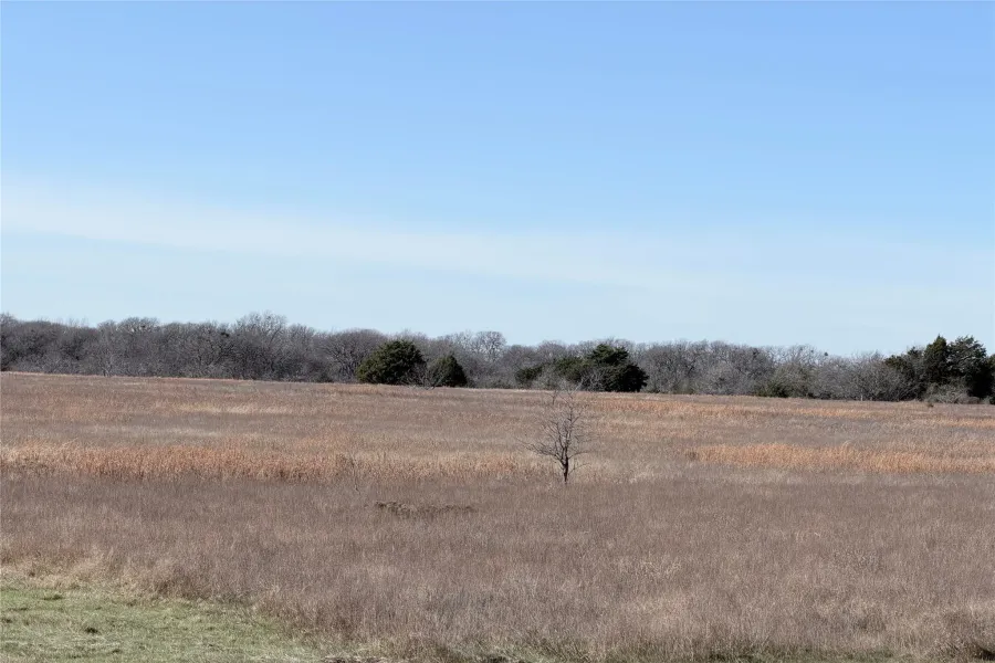 Unimproved Land For Sale in Navarro County , TBD NE County Road 2140, Kerens, Texas 75144, 0, 0, Garage spaces, 0 Sqft, built in 0, Price $400,000, mls#21141093, Real Estate Agent in Kerens, Homes For Sale in Navarro county, Homes For Sale in Kerens, Realtor in Kerens Texas, Real Estate Brokerage Independent Realty Texas, Luminita Cordes Realtor
