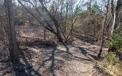 Unimproved Land For Sale in Fannin County , lot4 County Road 2905, Dodd City, Texas 75438, 0, 0, Garage spaces, 0 Sqft, built in 0, Price $86,500, mls#21145096, Real Estate Agent in Dodd City, Homes For Sale in Fannin county, Homes For Sale in Dodd City, Realtor in Dodd City Texas, Real Estate Brokerage Independent Realty Texas, Luminita Cordes Realtor