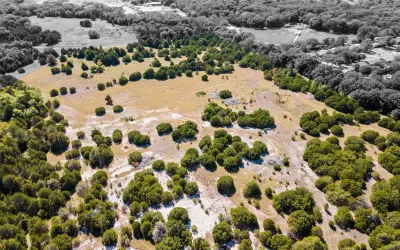 Improved Land For Sale in Dallas County , 1198 S Clark Road, Cedar Hill, Texas 75104, 0, 0, Garage spaces, 0 Sqft, built in 0, Price $3,500,000, mls#21148862, Real Estate Agent in Cedar Hill, Homes For Sale in Dallas county, Homes For Sale in Cedar Hill, Realtor in Cedar Hill Texas, Real Estate Brokerage Independent Realty Texas, Luminita Cordes Realtor