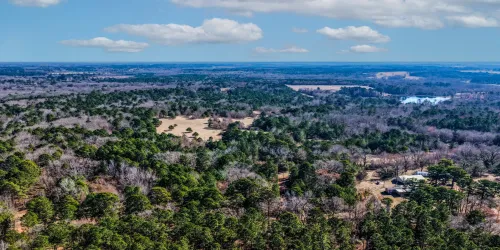 Unimproved Land For Sale in Smith County , 1609 C R 246 S, Tyler, Texas 75705, 0, 0, Garage spaces, 0 Sqft, built in 0, Price $995,000, mls#21182347, Real Estate Agent in Tyler, Homes For Sale in Smith county, Homes For Sale in Tyler, Realtor in Tyler Texas, Real Estate Brokerage Independent Realty Texas, Luminita Cordes Realtor