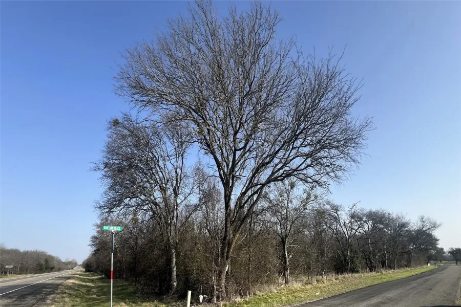 Property corner along Gholson Road and Quillian Trace