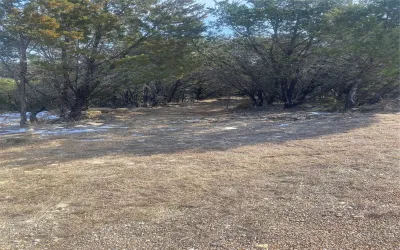 Improved Land For Sale in Hood County , 3217 Lakeside Drive, Granbury, Texas 76048, 0, 0, Garage spaces, 0 Sqft, built in 0, Price $48,000, mls#21175555, Real Estate Agent in Granbury, Homes For Sale in Hood county, Homes For Sale in Granbury, Realtor in Granbury Texas, Real Estate Brokerage Independent Realty Texas, Luminita Cordes Realtor