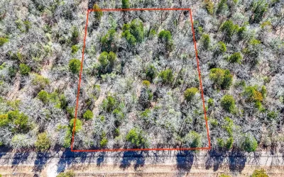 Unimproved Land For Sale in Freestone County , TBD lot 7 FCR 540, Fairfield, Texas 75840, 0, 0, Garage spaces, 0 Sqft, built in 0, Price $29,999, mls#21194762, Real Estate Agent in Fairfield, Homes For Sale in Freestone county, Homes For Sale in Fairfield, Realtor in Fairfield Texas, Real Estate Brokerage Independent Realty Texas, Luminita Cordes Realtor