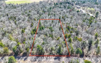 Unimproved Land For Sale in Freestone County , TBD lot 8 FCR 540, Fairfield, Texas 75840, 0, 0, Garage spaces, 0 Sqft, built in 0, Price $29,999, mls#21194797, Real Estate Agent in Fairfield, Homes For Sale in Freestone county, Homes For Sale in Fairfield, Realtor in Fairfield Texas, Real Estate Brokerage Independent Realty Texas, Luminita Cordes Realtor