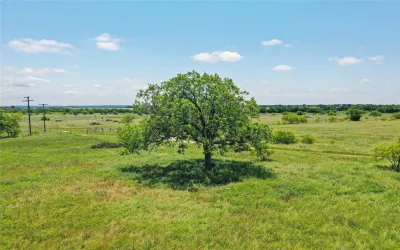 Ranch For Sale in Jack County , 55.06 Acres 281 Highway, Jacksboro, Texas 76458, 0, 0, Garage spaces, 0 Sqft, built in 0, Price $495,000, mls#21196351, Real Estate Agent in Jacksboro, Homes For Sale in Jack county, Homes For Sale in Jacksboro, Realtor in Jacksboro Texas, Real Estate Brokerage Independent Realty Texas, Luminita Cordes Realtor