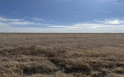 Improved Land For Sale in Haskell County , tbd CR 168, Haskell, Texas 75921, 0, 0, Garage spaces, 0 Sqft, built in 0, Price $1,485,000, mls#21200027, Real Estate Agent in Haskell, Homes For Sale in Haskell county, Homes For Sale in Haskell, Realtor in Haskell Texas, Real Estate Brokerage Independent Realty Texas, Luminita Cordes Realtor