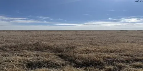 Improved Land For Sale in Haskell County , tbd CR 168, Haskell, Texas 75921, 0, 0, Garage spaces, 0 Sqft, built in 0, Price $1,485,000, mls#21200027, Real Estate Agent in Haskell, Homes For Sale in Haskell county, Homes For Sale in Haskell, Realtor in Haskell Texas, Real Estate Brokerage Independent Realty Texas, Luminita Cordes Realtor