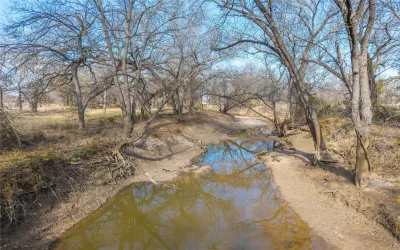Unimproved Land For Sale in Comanche County , 60.27 Acres - Leon River County Road 446, De Leon, Texas 76444, 0, 0, Garage spaces, 0 Sqft, built in 0, Price $801,591, mls#21204874, Real Estate Agent in De Leon, Homes For Sale in Comanche county, Homes For Sale in De Leon, Realtor in De Leon Texas, Real Estate Brokerage Independent Realty Texas, Luminita Cordes Realtor